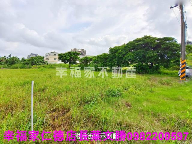台南善化農地-9