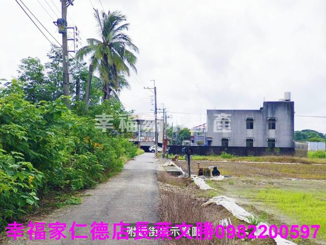 台南善化農地-4