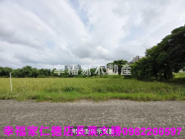 台南善化農地-7