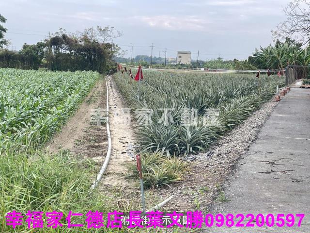 台南新市農地-9