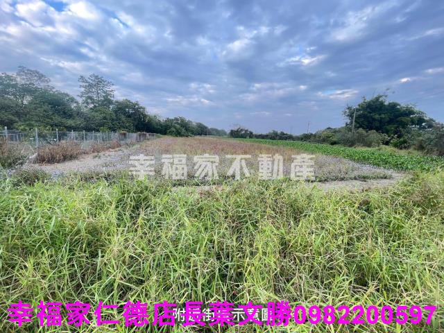 台南新市農地-10