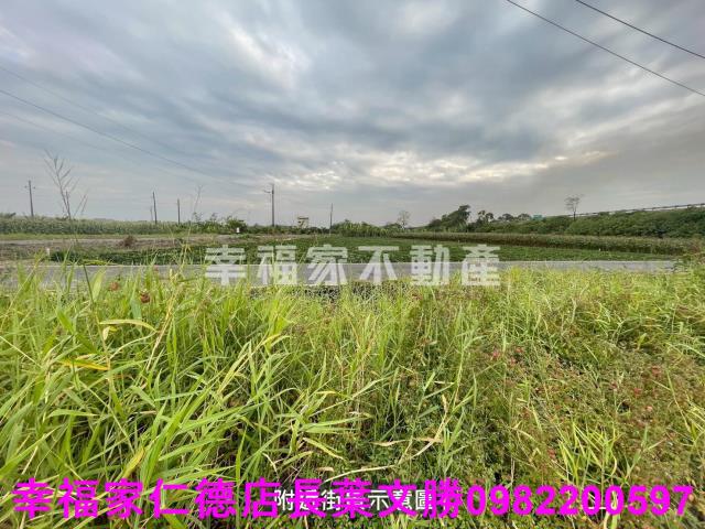 台南新市農地-11