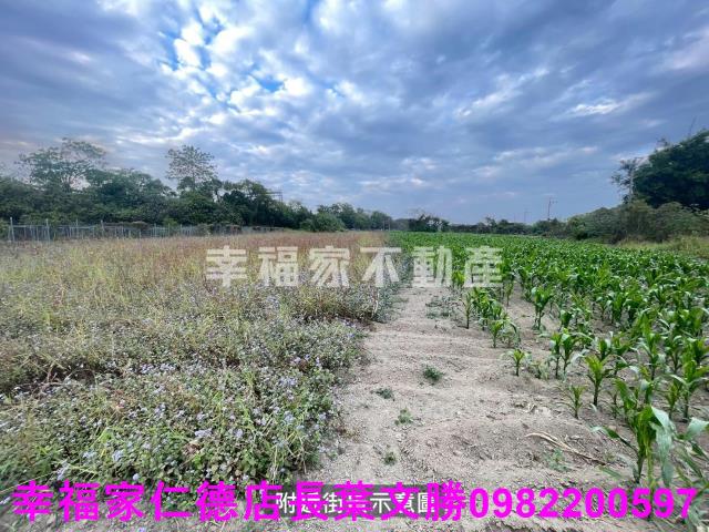 台南新市農地-12