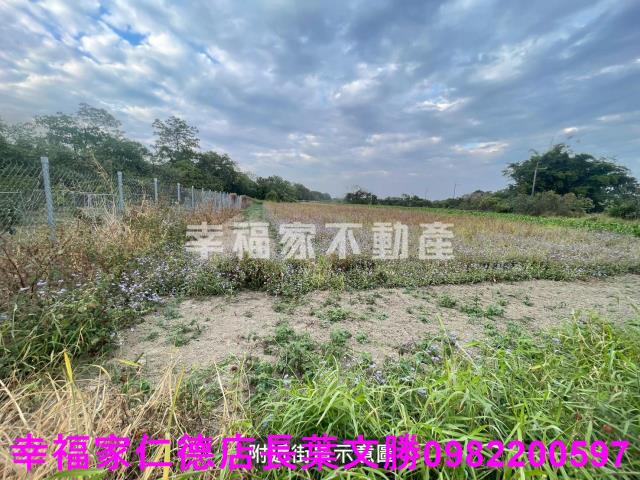 台南新市農地-0