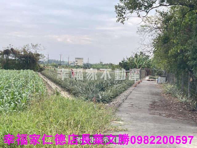 台南新市農地-2