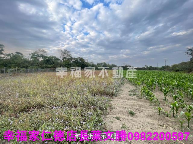 台南新市農地-4