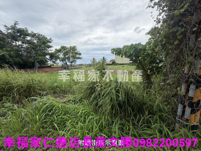 台南新市農地-4