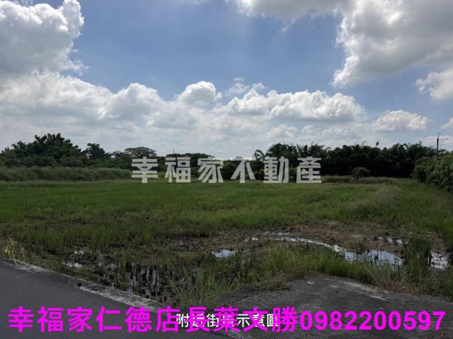 台南新市農地-9