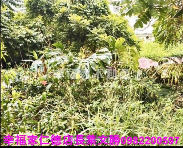 台南六甲建地-5