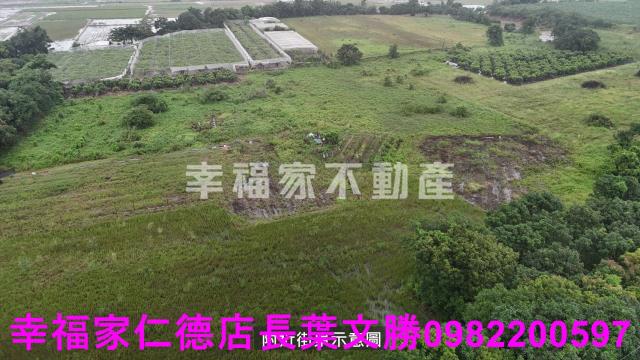 歸仁農地-2