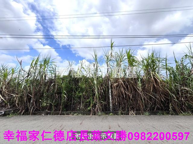 安定農地-10
