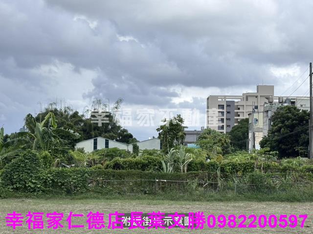 安定農地-2