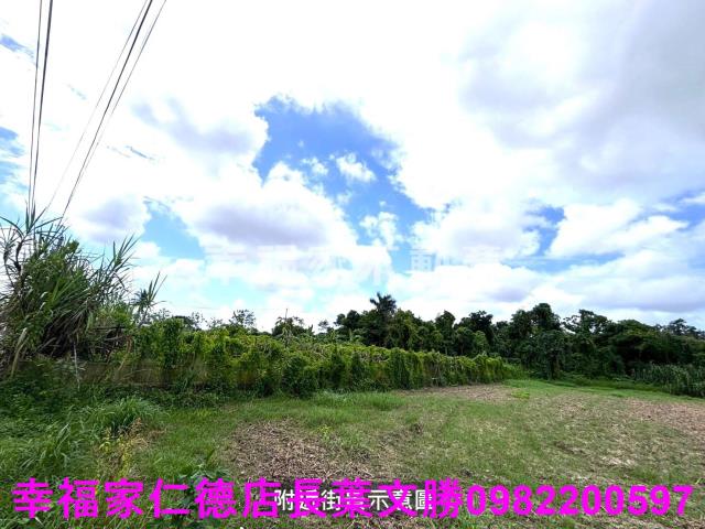 安定農地-6