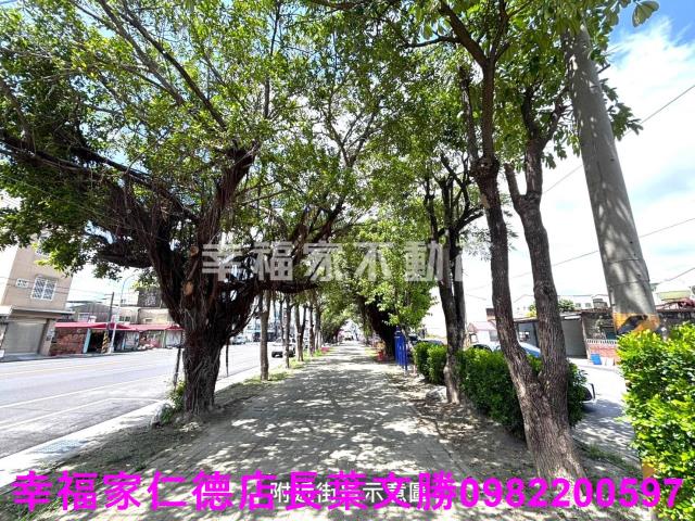 安定農地-7