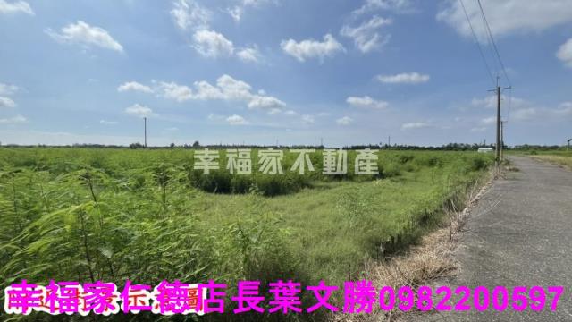 新市農地-14