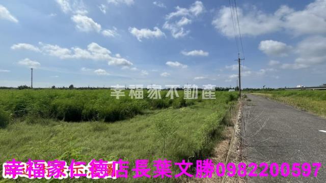 新市農地-7