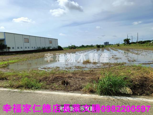 安定農地-14