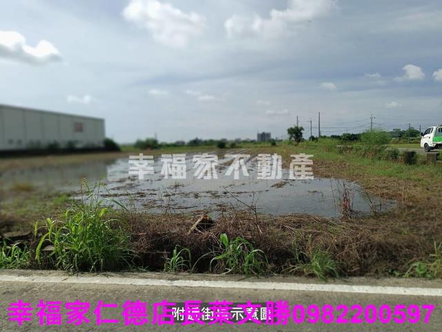 安定農地-7