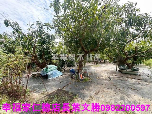 台南安定農地-13