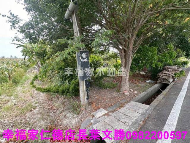 台南安定農地-14