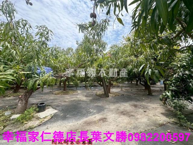 台南安定農地-2