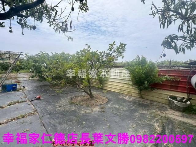 台南安定農地-3