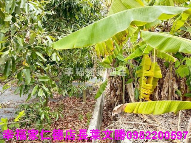 台南安定農地-5