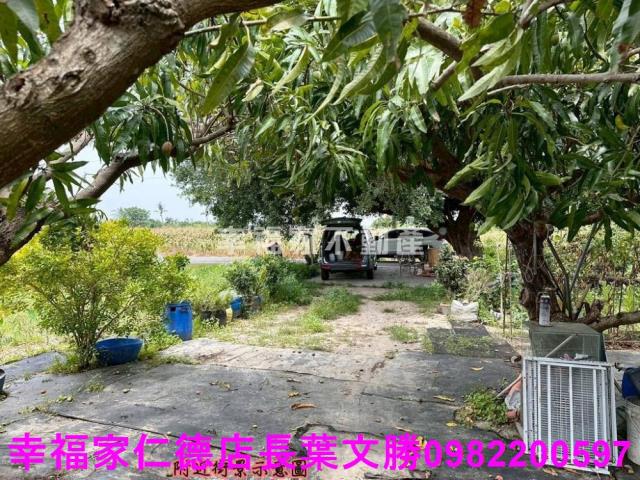 台南安定農地-6