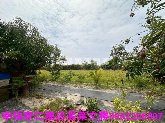 台南安定農地-7