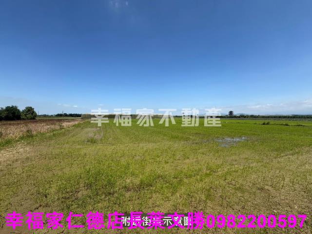 台南新市農地-2