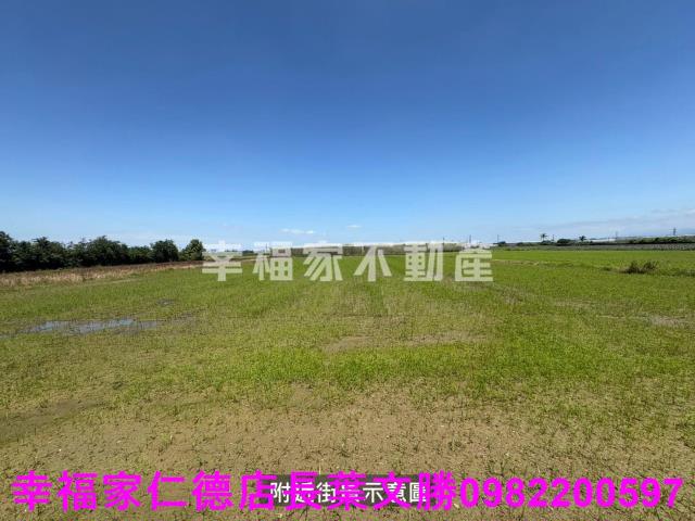 台南新市農地-7