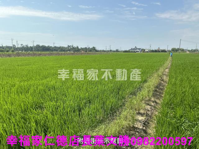 台南白河農地-6