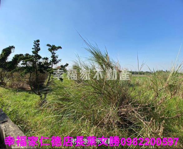 台南關廟農地-11