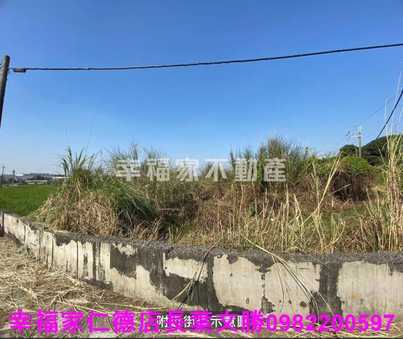 台南關廟農地-0