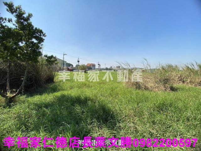台南關廟農地-3