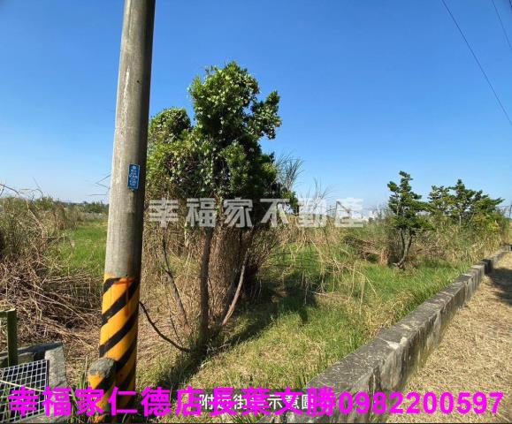 台南關廟農地-4