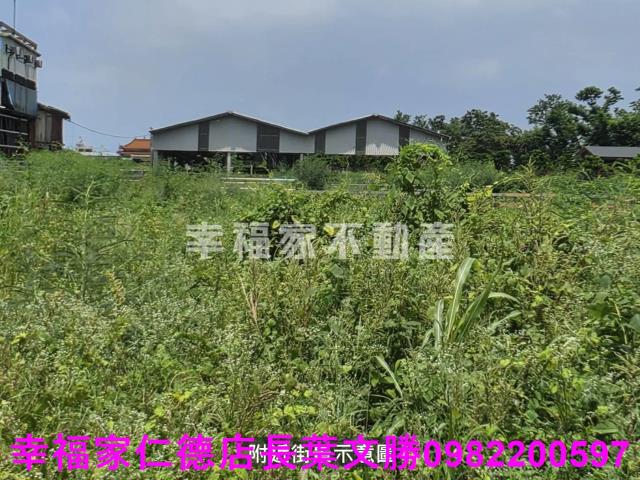 新營農地-5