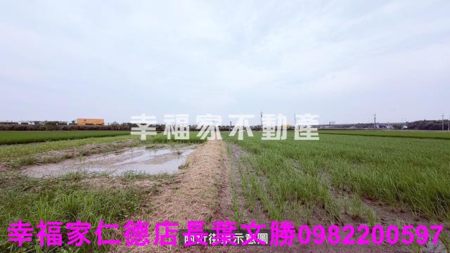後壁農地-9