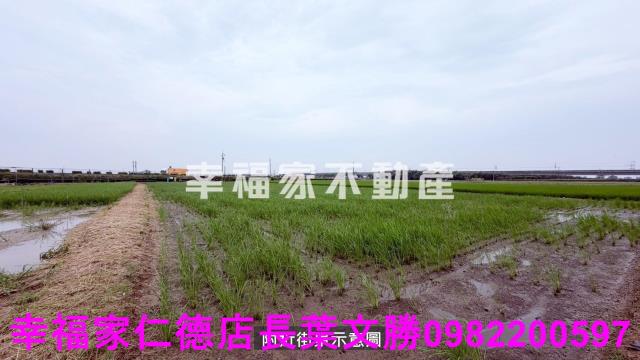 後壁農地-11