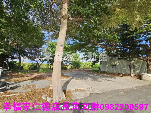 新市農地-10