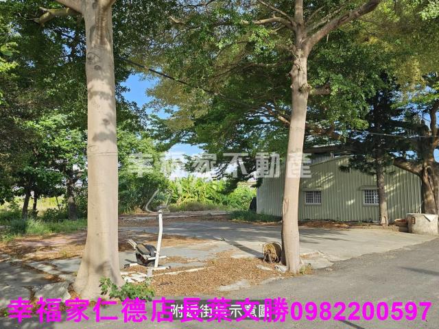 新市農地-12
