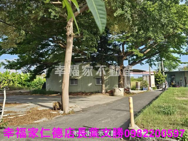 新市農地-13