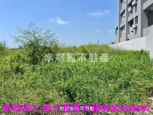台南西港農地-4