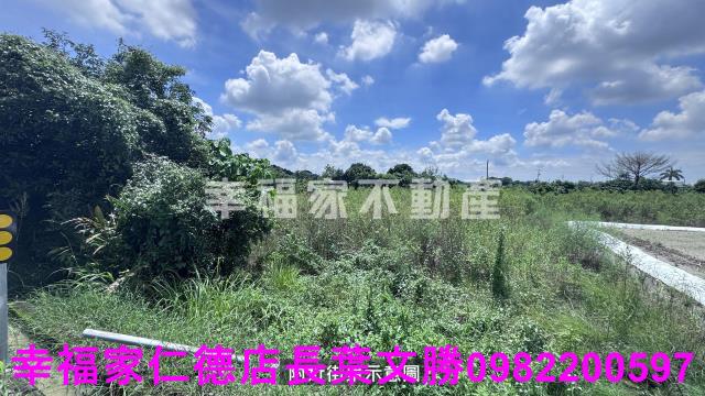 台南新化農地-10