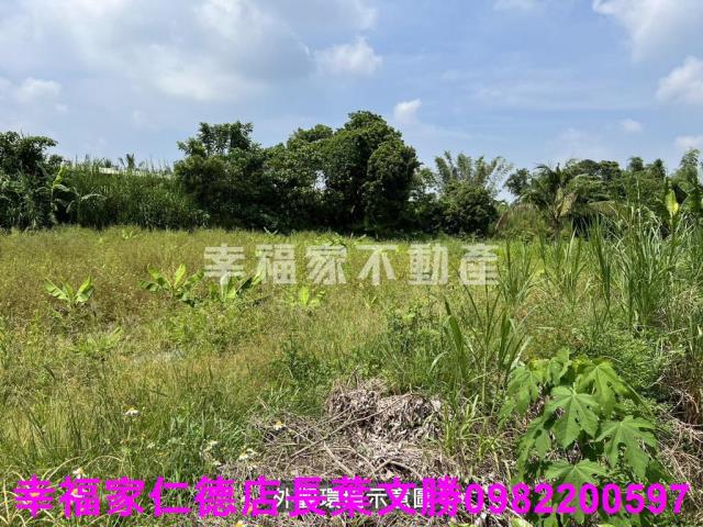 台南農地-5