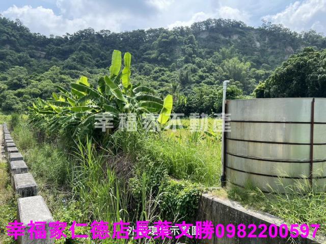 台南農地-6