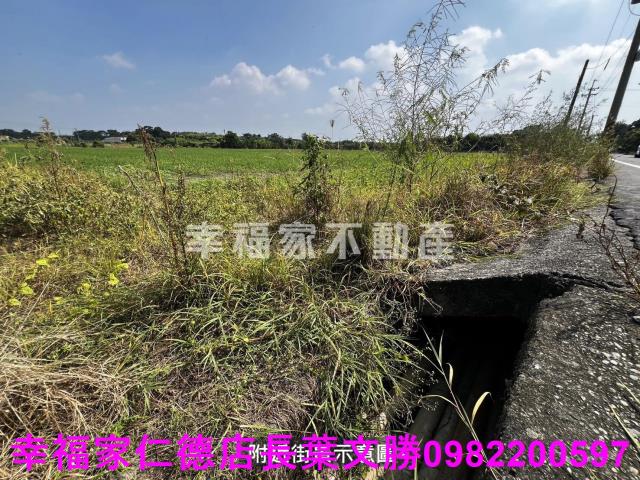 台南麻豆農地-10