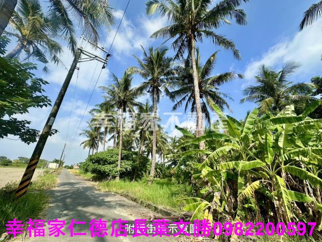 台南西港農地-4