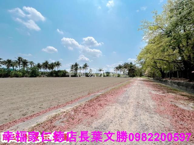仁德農地-9