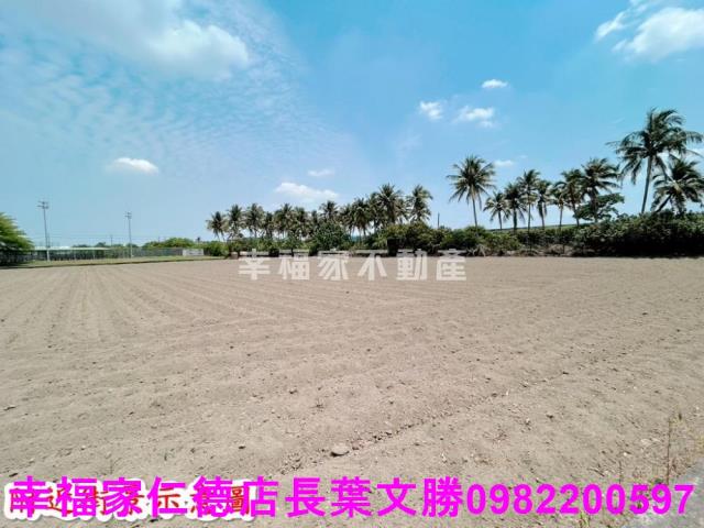 仁德農地-10